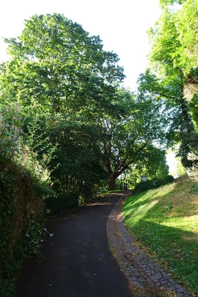 Leafy path into Brandon Hill Park