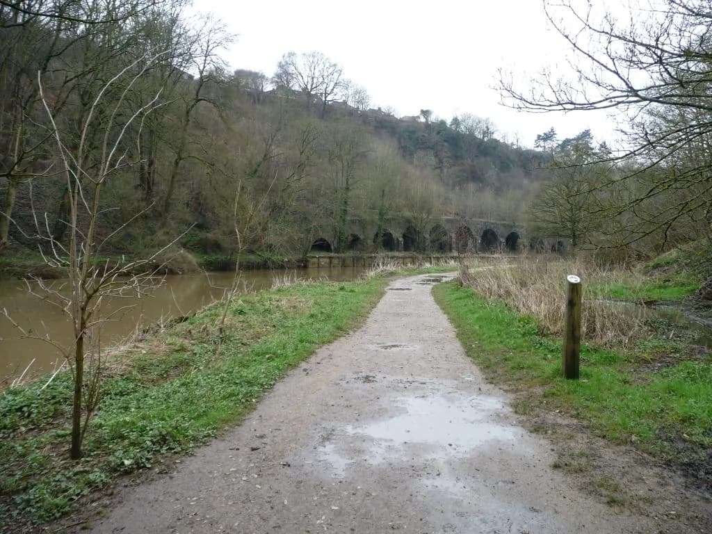 Riverside path through Conham River Park