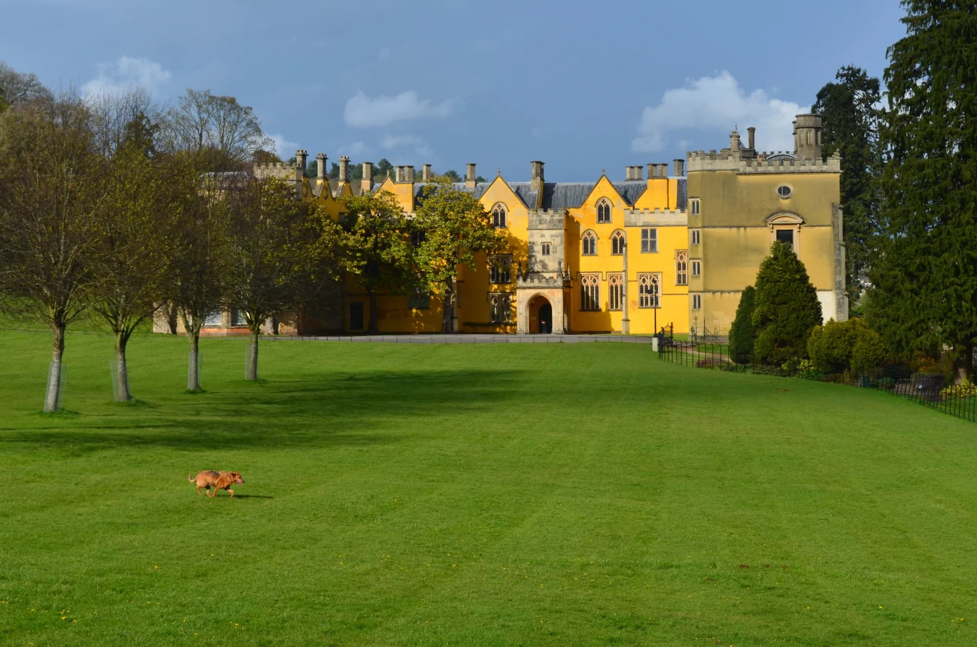 Ashton Court mansion and grounds, home of the Courtyard Café