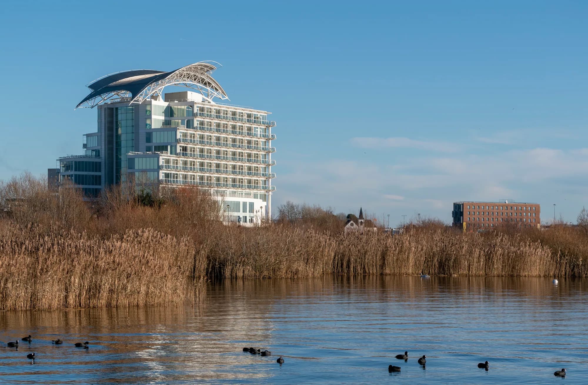 voco St David's Cardiff viewed across the wetlands reserve
