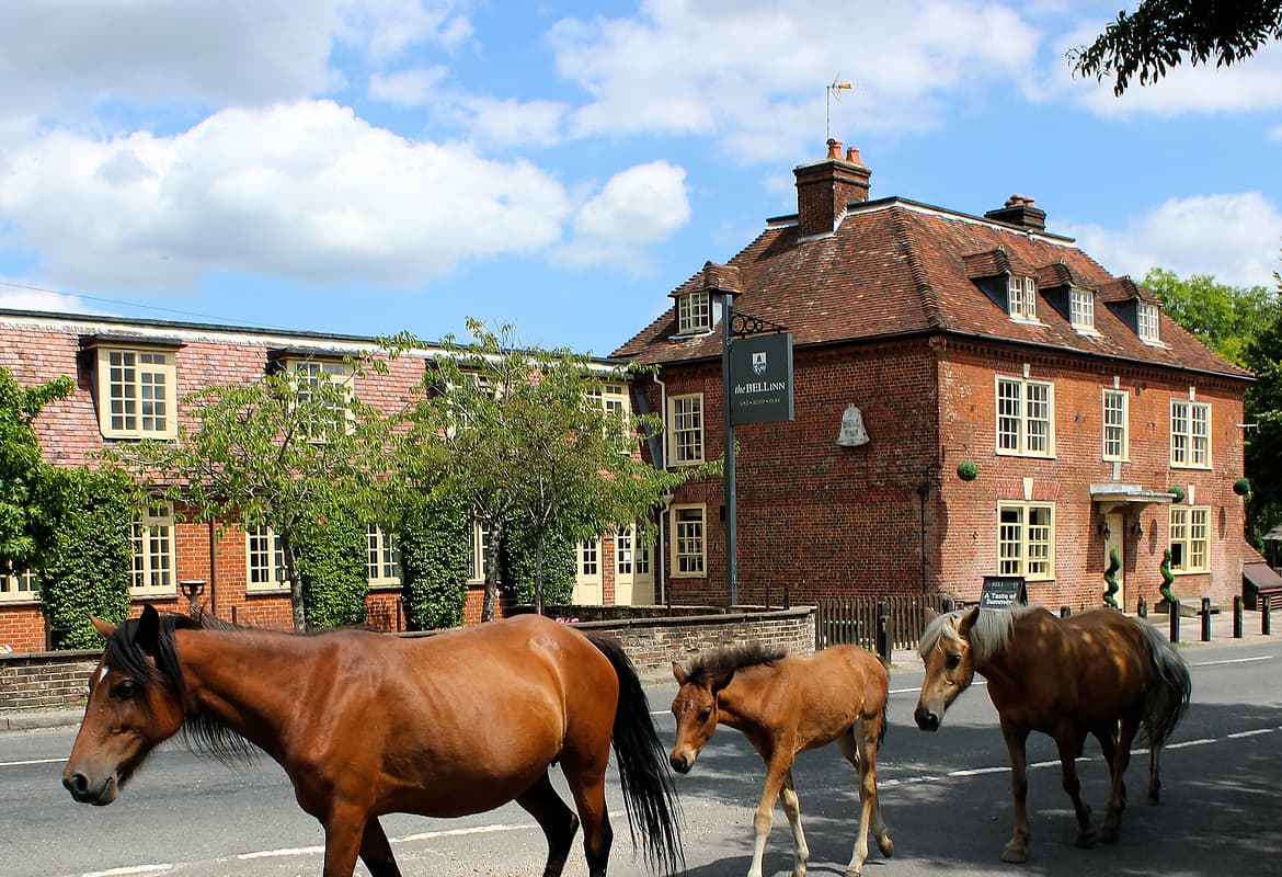 The Bell Inn, Bramshaw