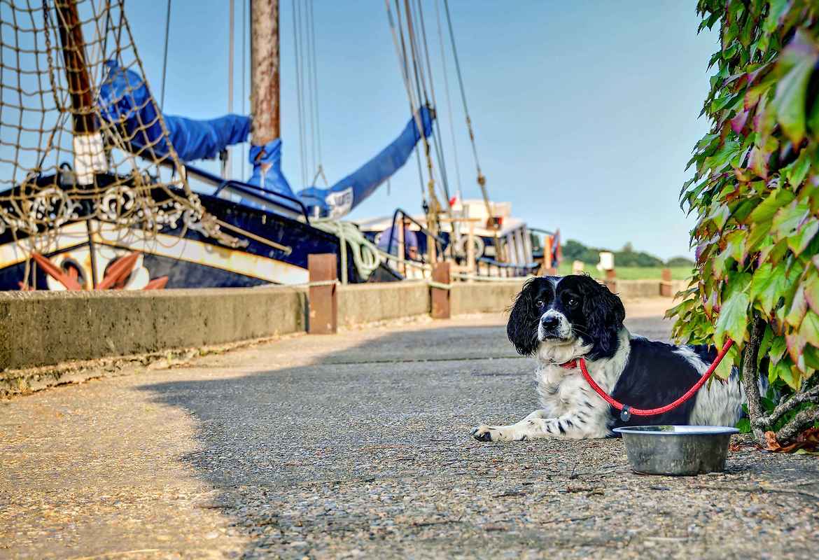 Onderneming Barge