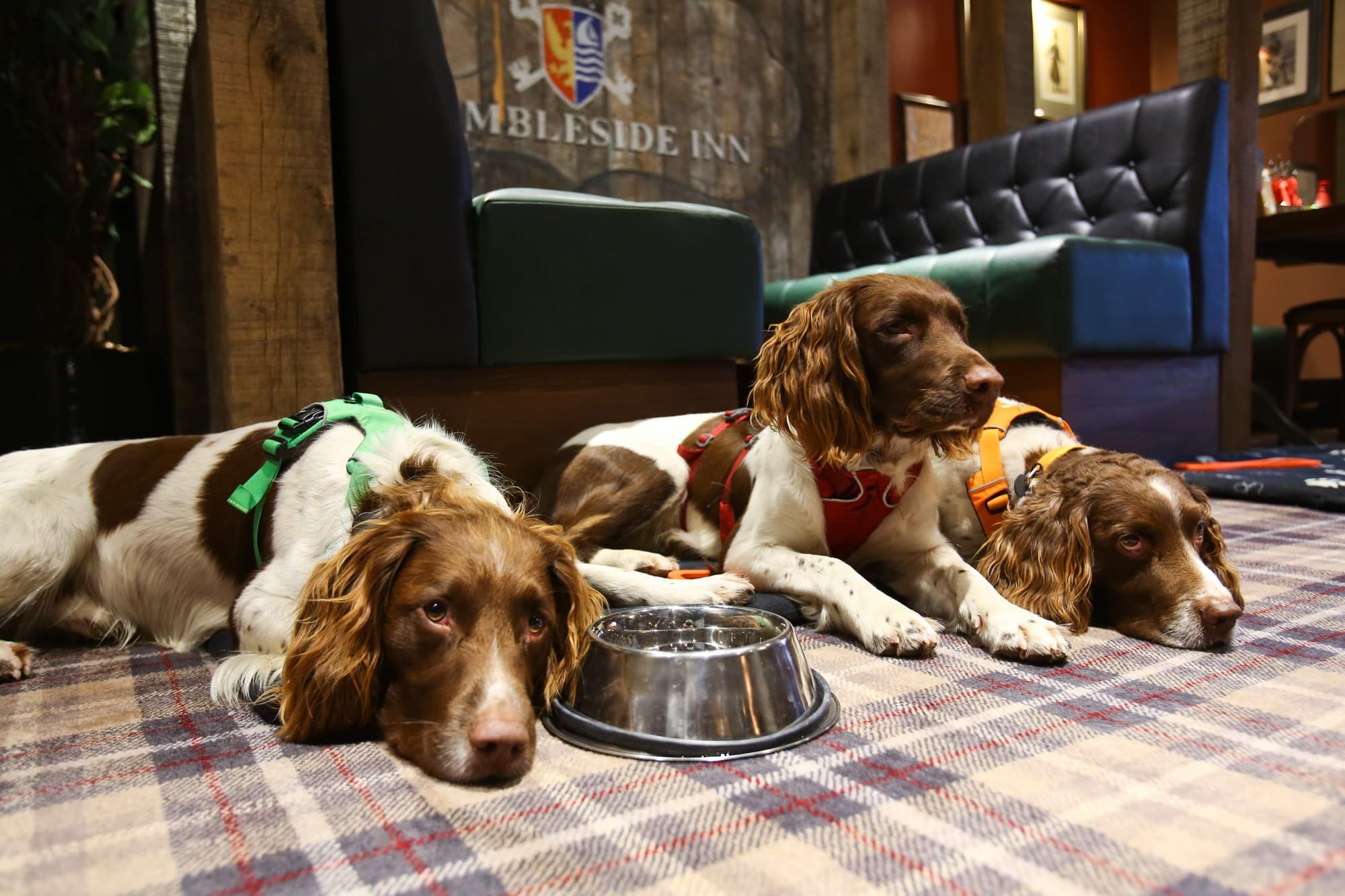 The Ambleside Inn
