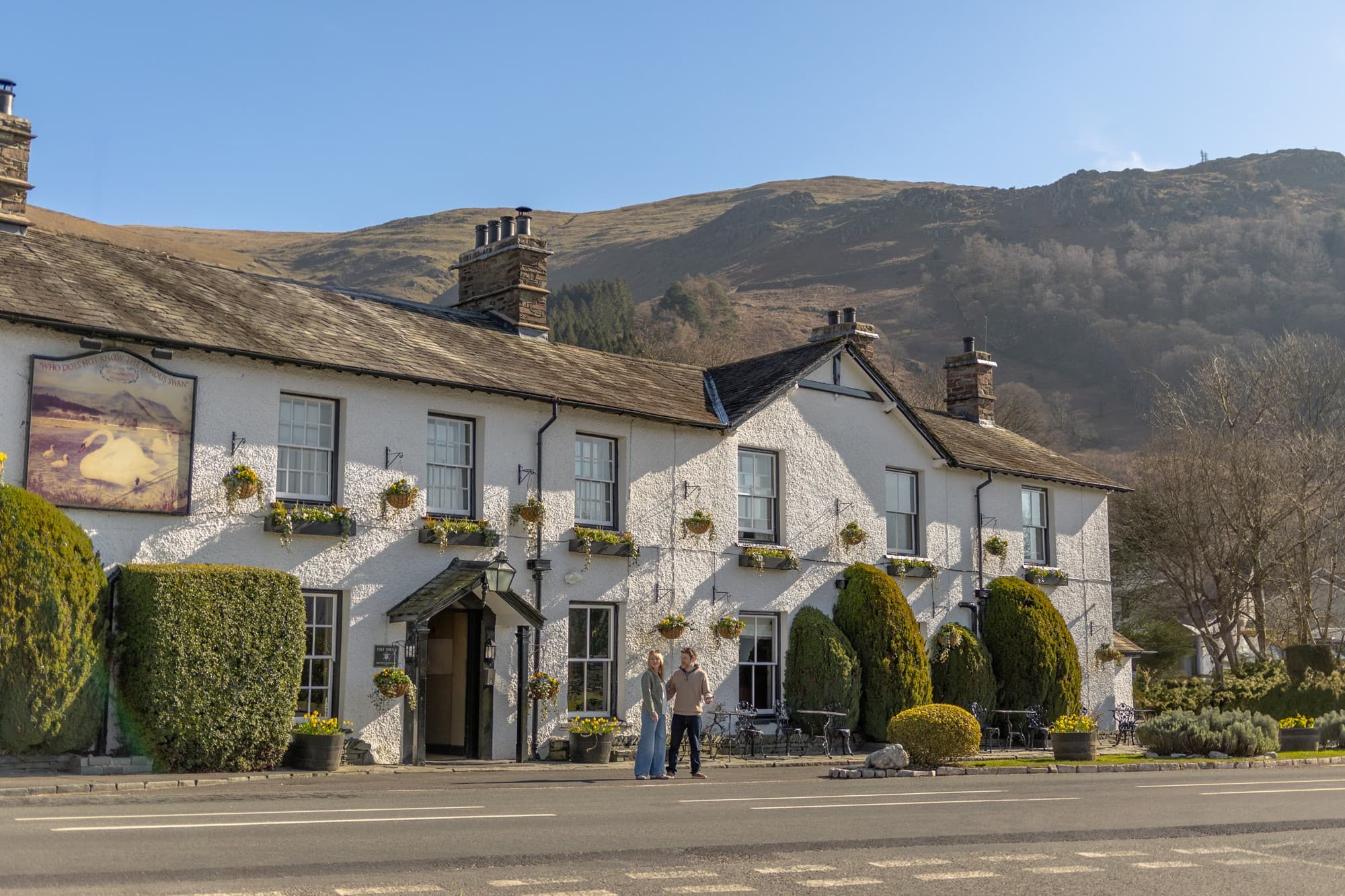 Photo of The Swan